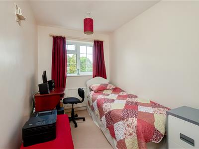 Picture 12